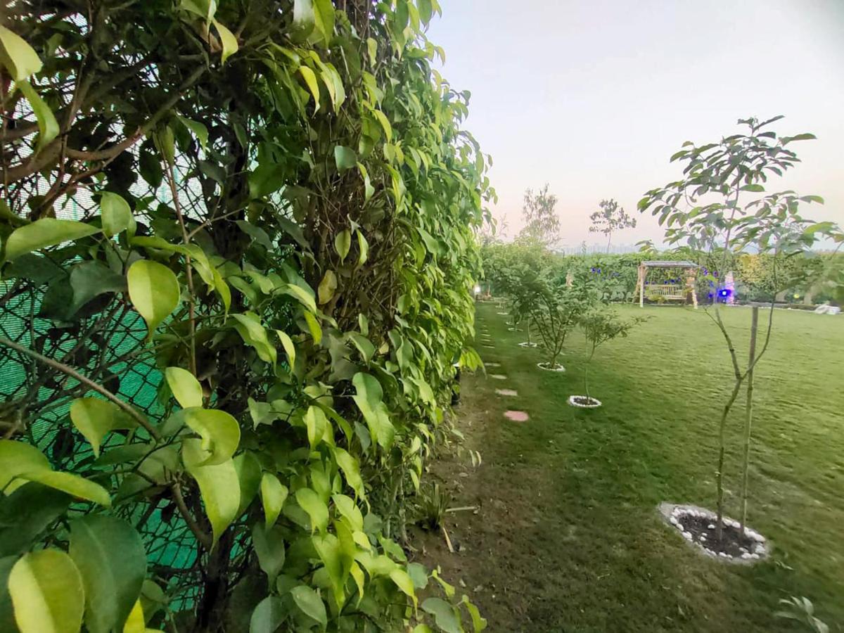 Shaw Estate-Farm House For A Small Parties-Jp Farm Greater Noida Exteriör bild